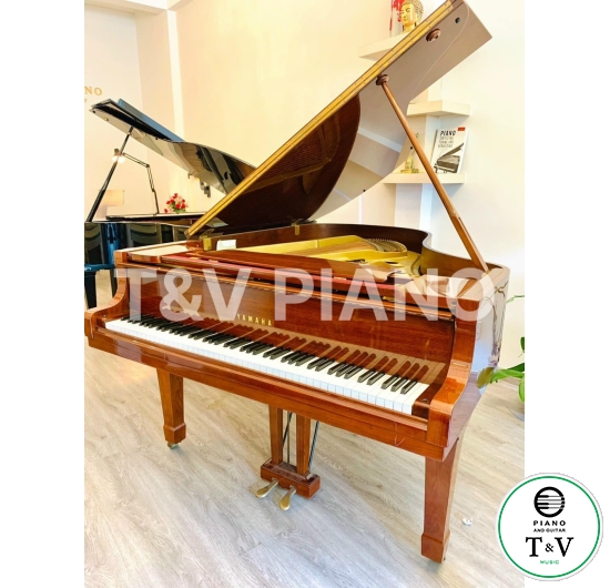 Yamaha G3E ( Mahogany )