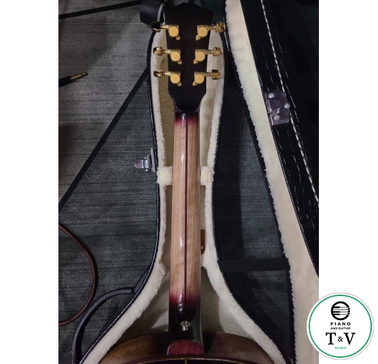 Guitar A026( F-Hole)