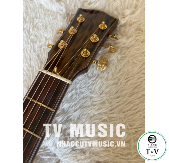 Acoustic Guitar GB-25