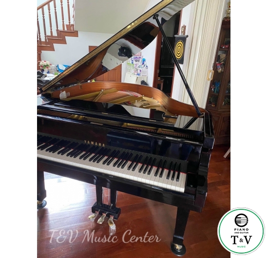 Grand Yamaha G1E