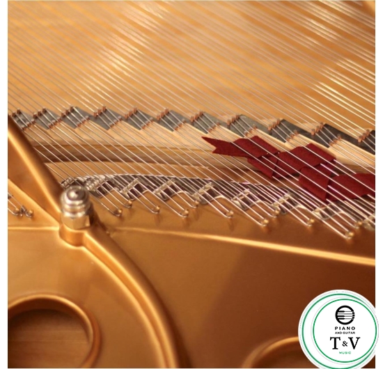 Steinway&Son Model B( Louis XV )