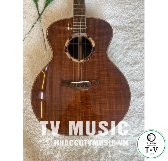 Acoustic Guitar GB-25