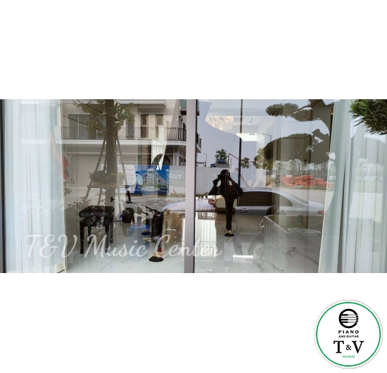 Boston GP-215PE( Brand New )