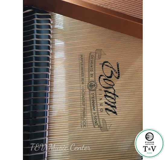 Boston GP-178PE II(Brand New )