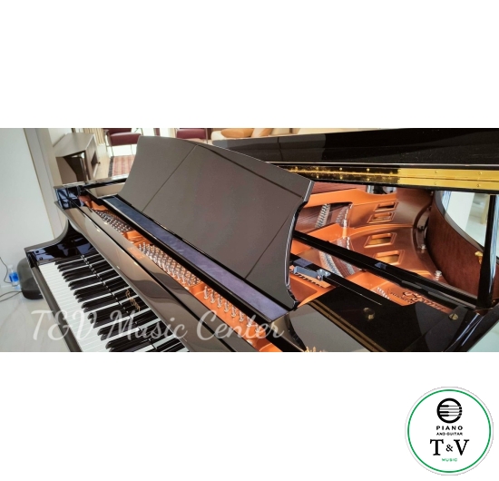 Boston GP-215PE( Brand New )