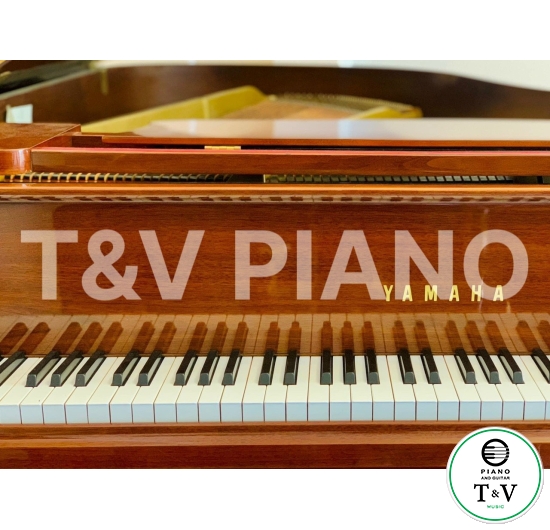 Yamaha G3E ( Mahogany )