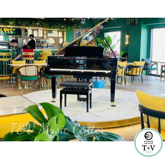 Yamaha C3X( Brand New )( PE )