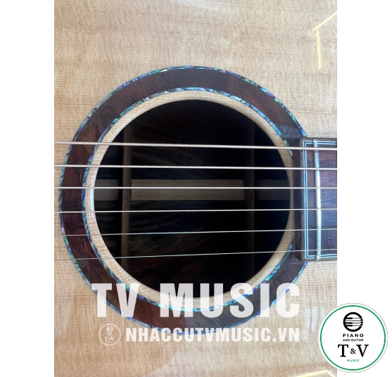 Guitar Acoustic OM-10