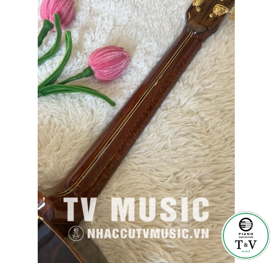 Acoustic Guitar GB-25