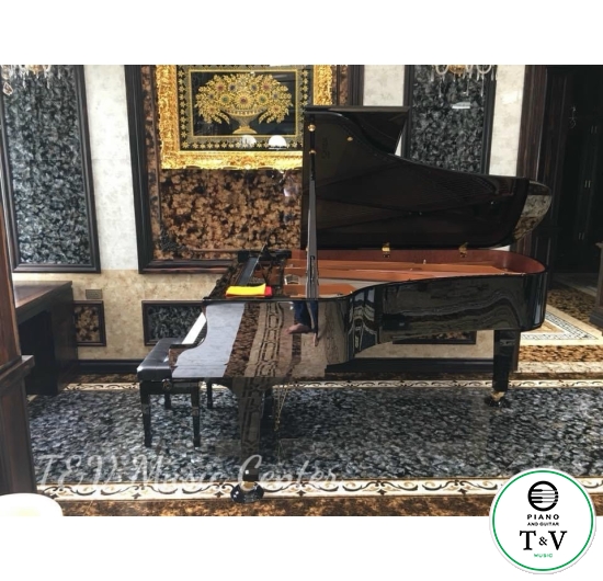 Boston GP-215PE( Brand New )