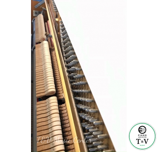 Kreutzer WH K3 SR30623