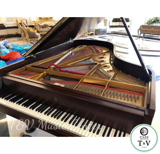 Steinway&Son B Series 428167
