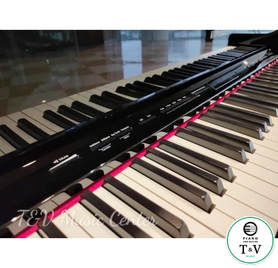 Roland GP-609(PE)(Brand New)