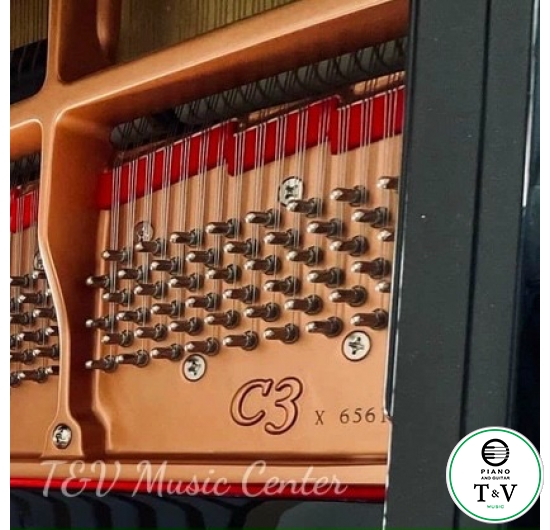 Yamaha C3X( Brand New )( PE )