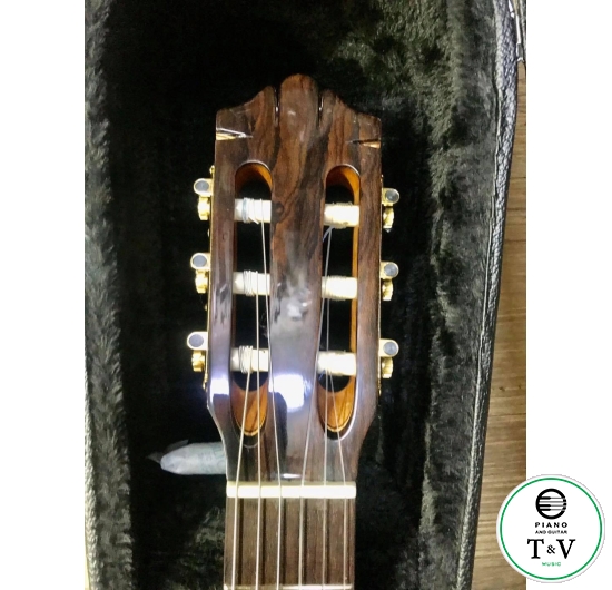 Guitar C055