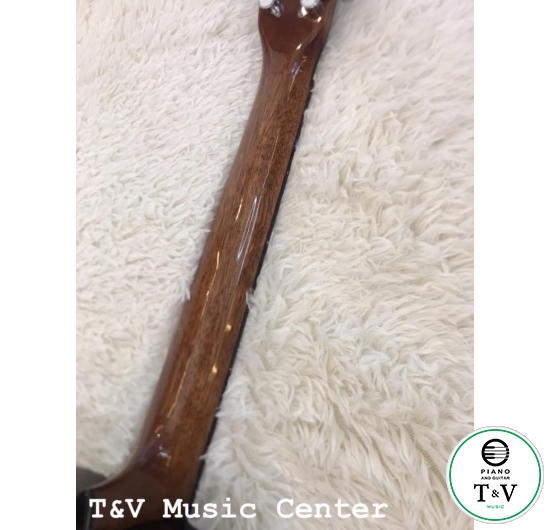 Acoustic Guitar (2/4) Dáng Martin