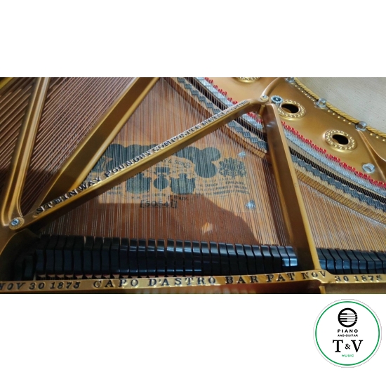 Steinway&Son Hoàng Gia