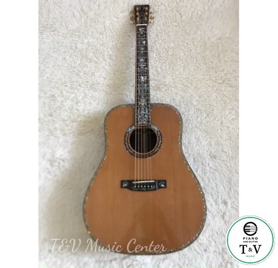 Acoustic Guitar Custom D-100A(Martin )