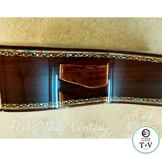 Acoustic Guitar Custom D-100A(Martin )