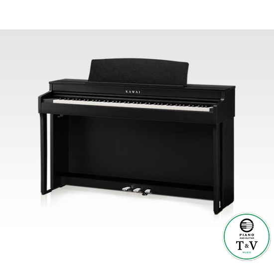 Kawai CN301