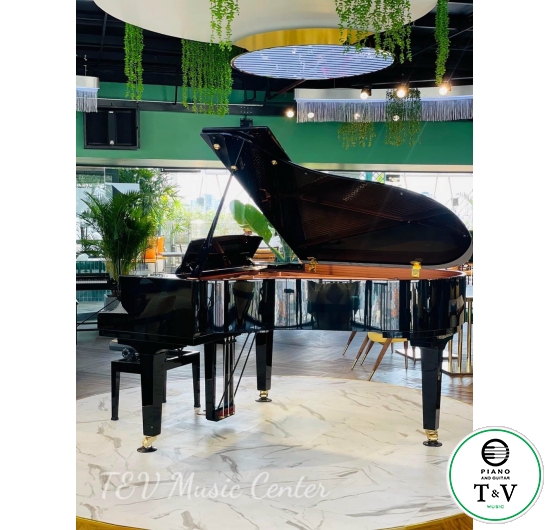 Yamaha C3X( Brand New )( PE )