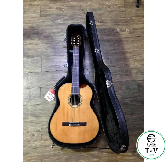 Guitar C055
