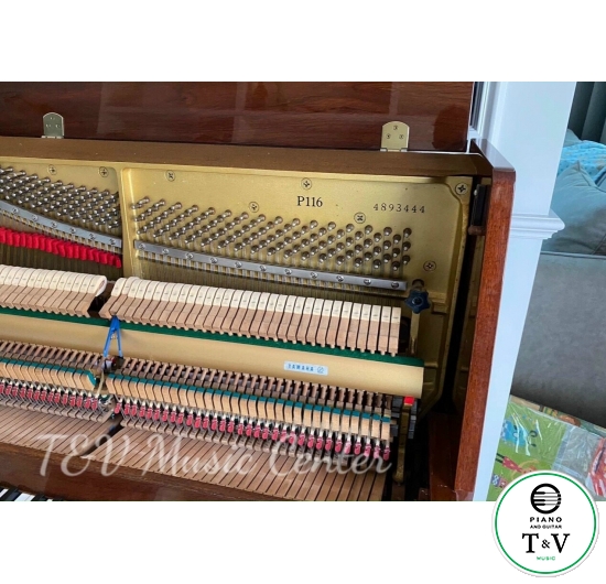 Yamaha P116
