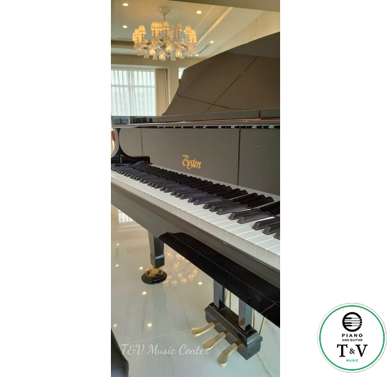 Boston GP-215PE( Brand New )