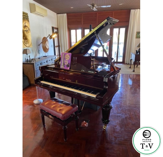 Grand Geogre Sterk ( GS208-HLBC)