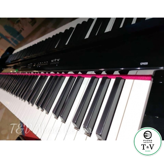 Roland GP-609(PE)(Brand New)