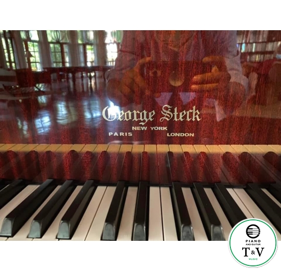 Grand Geogre Sterk ( GS208-HLBC)