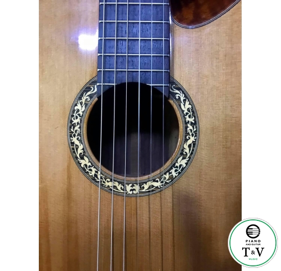 Guitar C055