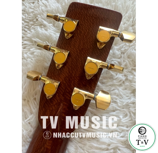 Guitar Acoustic OM-10