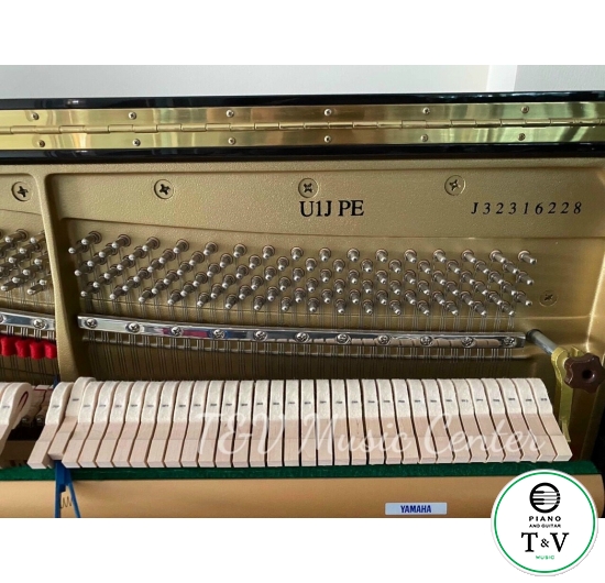 Yamaha U1JPE